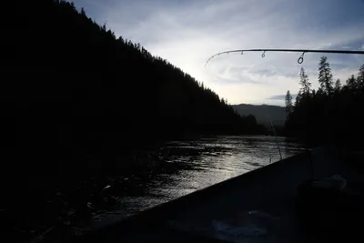 DSC_0302 (Large).JPG